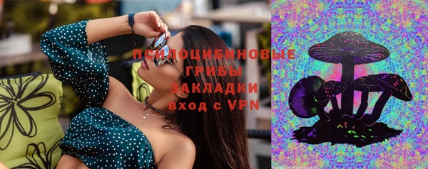 ГАЛЛЮЦИНОГЕННЫЕ ГРИБЫ Балабаново